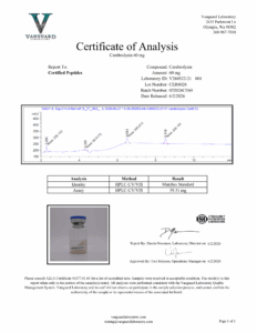 CEREBROLYSIN-60mg-6-2-26-COA-232x300